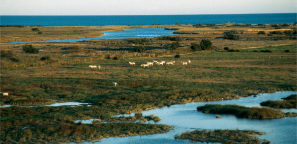 Parc Natural dels Aiguamolls de l’Empordà