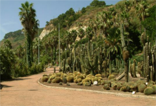 Mossen Costa i Llobera Gardens