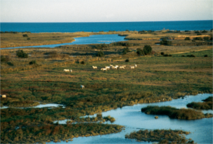 Parc Natural dels Aiguamolls de l’Empordà